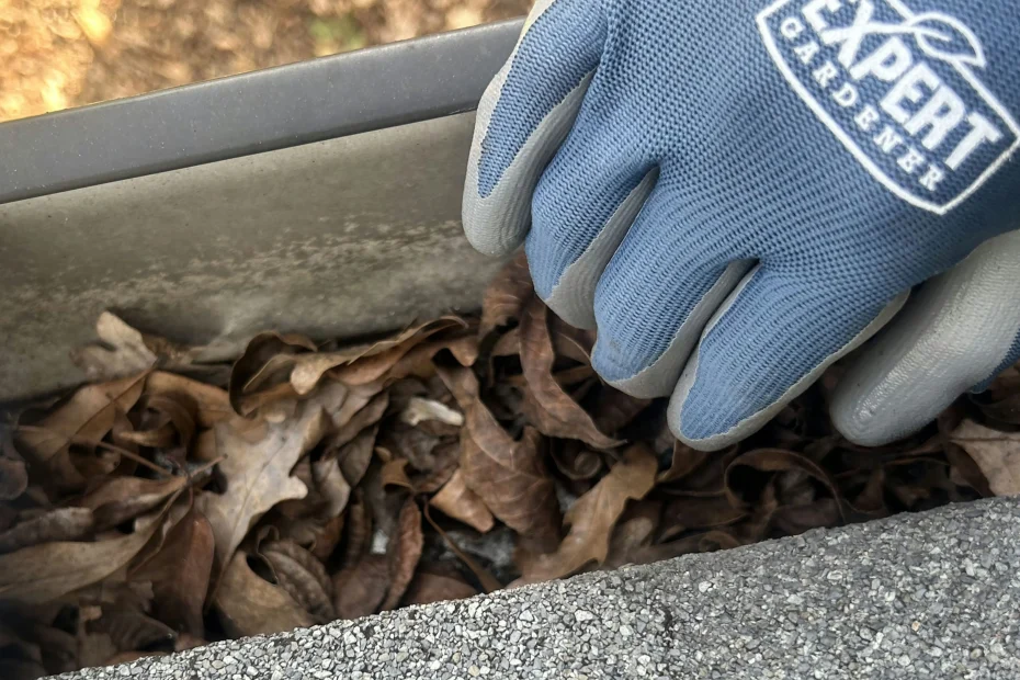 Gutter Cleaning Smyrna, TN