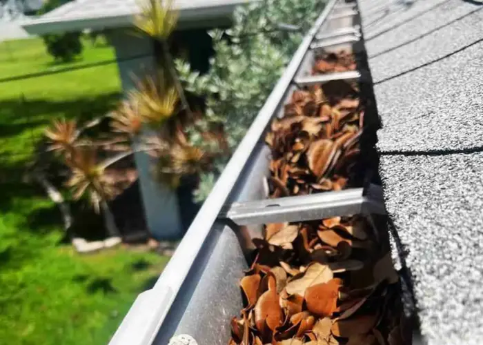 Gutter Cleaning Smyrna, TN home page